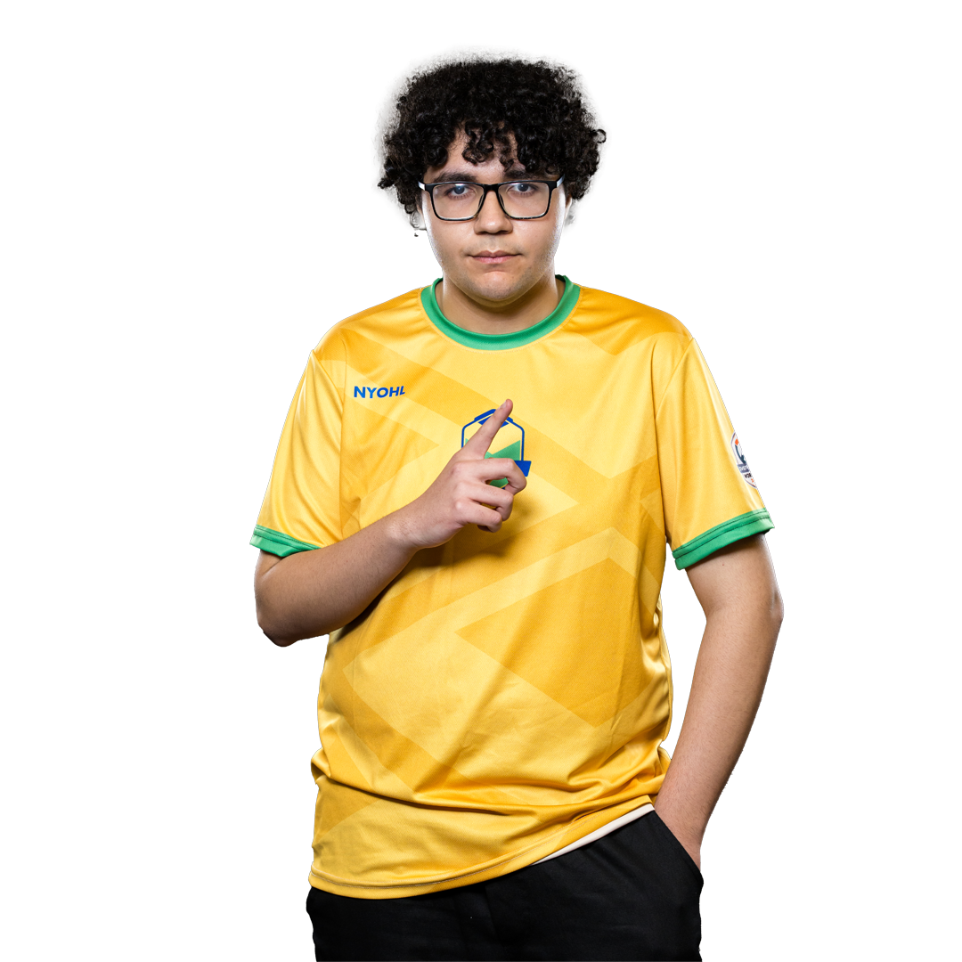 Brazil Overwatch Team from Brazil